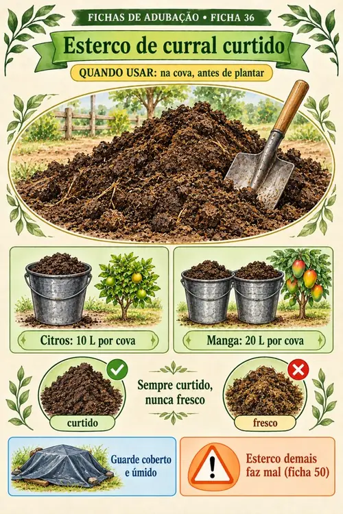 Ficha 36: Esterco de curral curtido